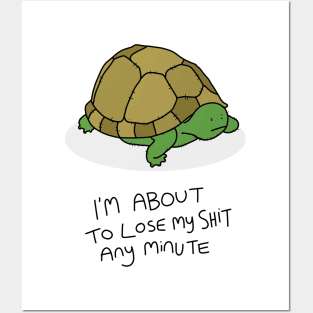 Grumpy Turtle Posters and Art